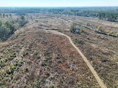 Midway Tract - 133± Acres of Prime Recreational & Investment Land - image 4