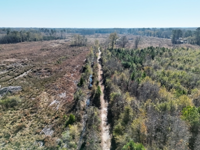 Midway Tract - 133± Acres of Prime Recreational & Investment Land - image 5