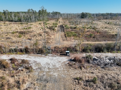 Midway Tract - 133± Acres of Prime Recreational & Investment Land - image 9