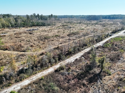Midway Tract - 133± Acres of Prime Recreational & Investment Land - image 8