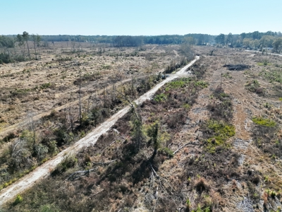 Midway Tract - 133± Acres of Prime Recreational & Investment Land - image 1