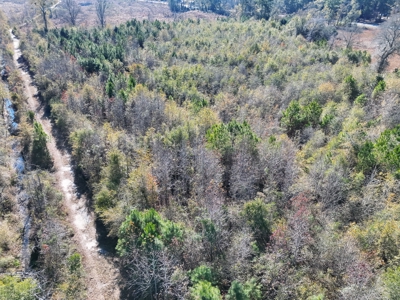 Midway Tract - 133± Acres of Prime Recreational & Investment Land - image 7