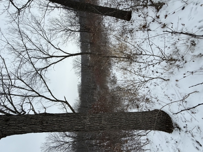 Mahaska County 135.5 +/- Acres Hunting & Investment Land For Sale - image 22