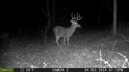 Mahaska County 135.5 +/- Acres Hunting & Investment Land For Sale - image 38