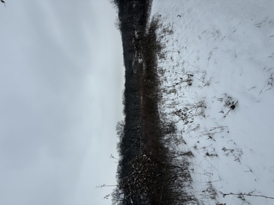 Mahaska County 135.5 +/- Acres Hunting & Investment Land For Sale - image 32