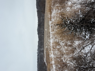 Mahaska County 135.5 +/- Acres Hunting & Investment Land For Sale - image 12