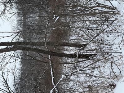 Mahaska County 135.5 +/- Acres Hunting & Investment Land For Sale - image 34