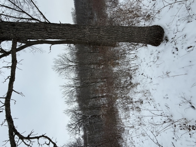 Mahaska County 135.5 +/- Acres Hunting & Investment Land For Sale - image 23