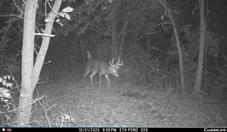 Mahaska County 135.5 +/- Acres Hunting & Investment Land For Sale - image 17