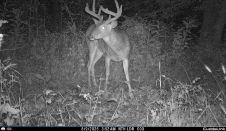 Mahaska County 135.5 +/- Acres Hunting & Investment Land For Sale - image 19