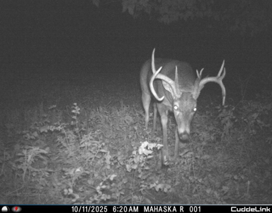 Mahaska County 135.5 +/- Acres Hunting & Investment Land For Sale - image 20