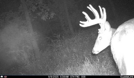 Mahaska County 135.5 +/- Acres Hunting & Investment Land For Sale - image 31