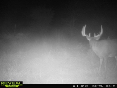 Mahaska County 135.5 +/- Acres Hunting & Investment Land For Sale - image 40