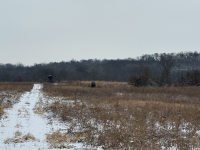 Mahaska County 135.5 +/- Acres Hunting & Investment Land For Sale - image 11