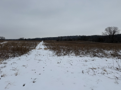 Mahaska County 135.5 +/- Acres Hunting & Investment Land For Sale - image 10