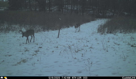 Mahaska County 135.5 +/- Acres Hunting & Investment Land For Sale - image 27