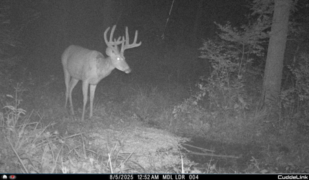 Mahaska County 135.5 +/- Acres Hunting & Investment Land For Sale - image 36