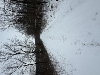 Mahaska County 135.5 +/- Acres Hunting & Investment Land For Sale - image 24