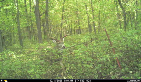 Mahaska County 135.5 +/- Acres Hunting & Investment Land For Sale - image 37