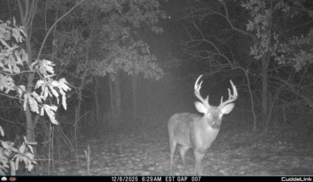 Mahaska County 135.5 +/- Acres Hunting & Investment Land For Sale - image 29