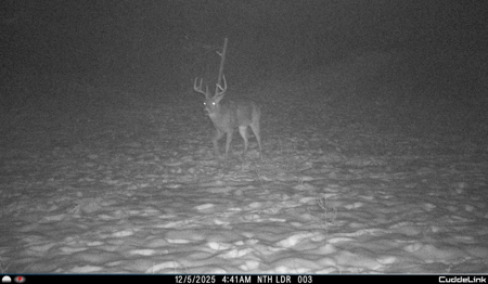 Mahaska County 135.5 +/- Acres Hunting & Investment Land For Sale - image 21