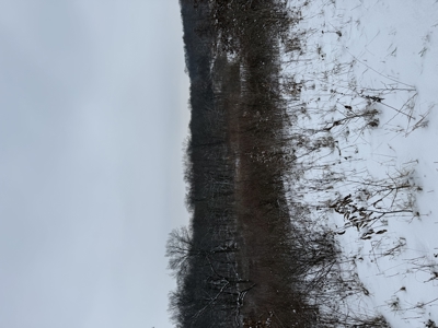 Mahaska County 135.5 +/- Acres Hunting & Investment Land For Sale - image 26