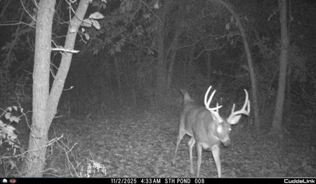 Mahaska County 135.5 +/- Acres Hunting & Investment Land For Sale - image 28