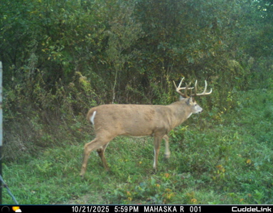 Mahaska County 135.5 +/- Acres Hunting & Investment Land For Sale - image 5
