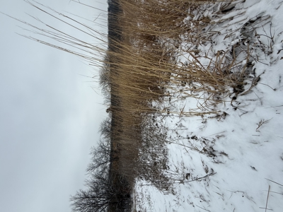 Mahaska County 135.5 +/- Acres Hunting & Investment Land For Sale - image 15