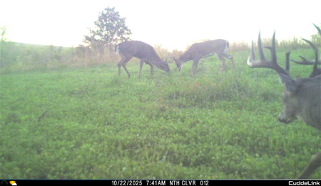 Mahaska County 135.5 +/- Acres Hunting & Investment Land For Sale - image 6