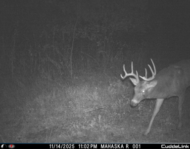 Mahaska County 135.5 +/- Acres Hunting & Investment Land For Sale - image 16