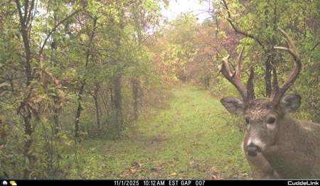 Mahaska County 135.5 +/- Acres Hunting & Investment Land For Sale - image 8