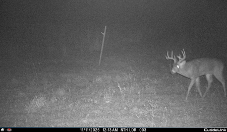 Mahaska County 135.5 +/- Acres Hunting & Investment Land For Sale - image 18