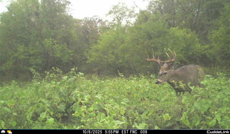 Mahaska County 135.5 +/- Acres Hunting & Investment Land For Sale - image 30