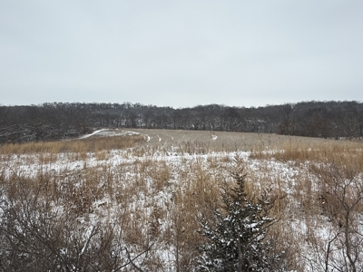 Mahaska County 135.5 +/- Acres Hunting & Investment Land For Sale - image 14