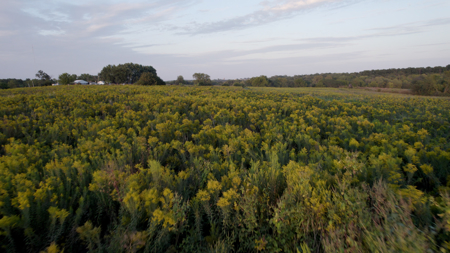Mahaska County 135.5 +/- Acres Hunting & Investment Land For Sale - image 47