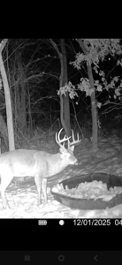 Mahaska County 135.5 +/- Acres Hunting & Investment Land For Sale - image 42