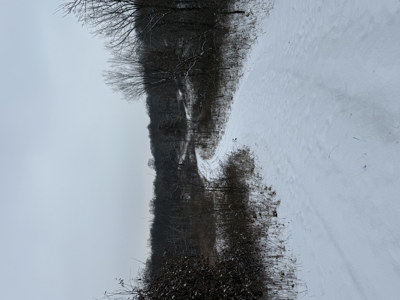 Mahaska County 135.5 +/- Acres Hunting & Investment Land For Sale - image 33