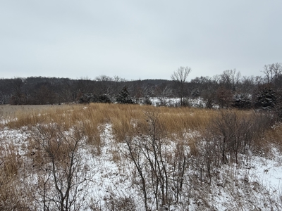 Mahaska County 135.5 +/- Acres Hunting & Investment Land For Sale - image 13