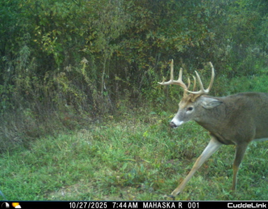 Mahaska County 135.5 +/- Acres Hunting & Investment Land For Sale - image 9