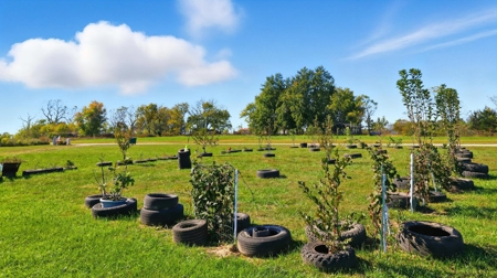 Stunning 8-Bedroom Home on 5 Acres - Modern Comfort Meets Country - image 42