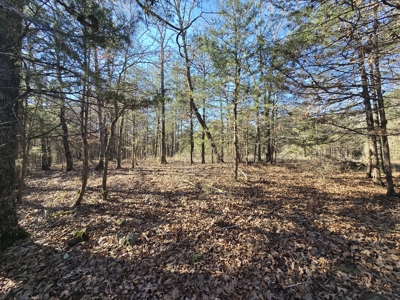 Country Acreage – Homestead Property – Adjoining National Forest - image 15