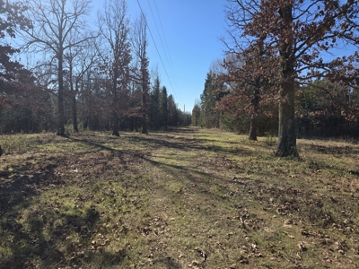 Country Acreage – Homestead Property – Adjoining National Forest - image 9