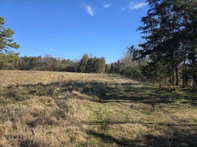 Country Acreage – Homestead Property – Adjoining National Forest - image 13