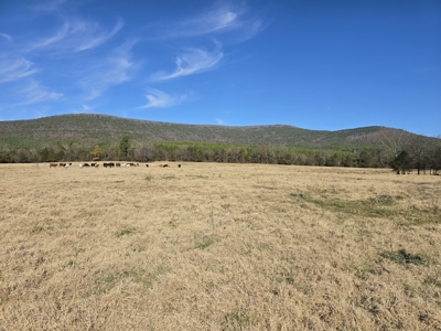 Country Acreage – Homestead Property – Adjoining National Forest - image 6