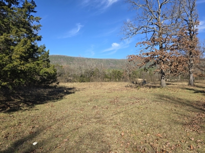 Country Acreage – Homestead Property – Adjoining National Forest - image 16
