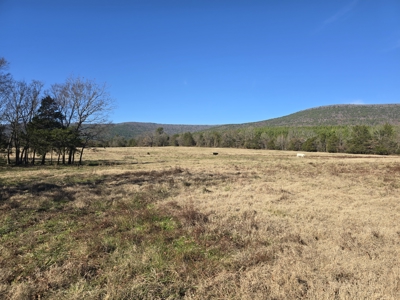Country Acreage – Homestead Property – Adjoining National Forest - image 18