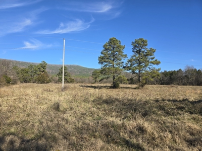 Country Acreage – Homestead Property – Adjoining National Forest - image 12