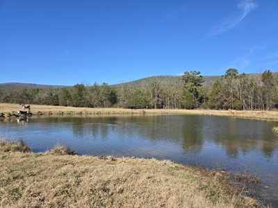 Country Acreage – Homestead Property – Adjoining National Forest - image 2