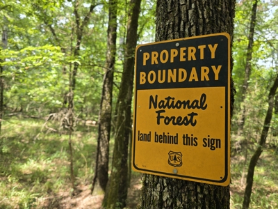Country Acreage – Homestead Property – Adjoining National Forest - image 4